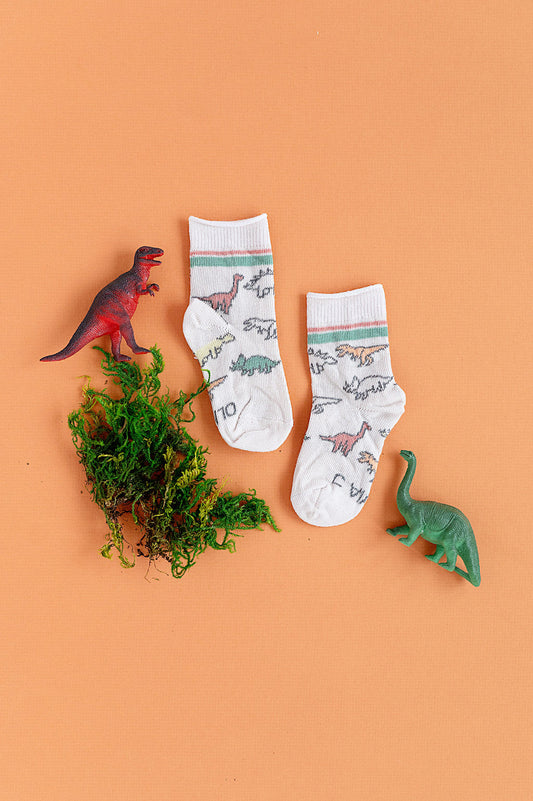 Dinosaur Sock